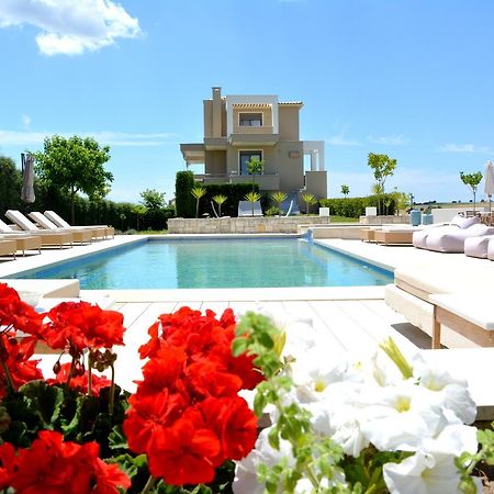 Niovi Boutique Apartments Afytos Bagian luar foto
