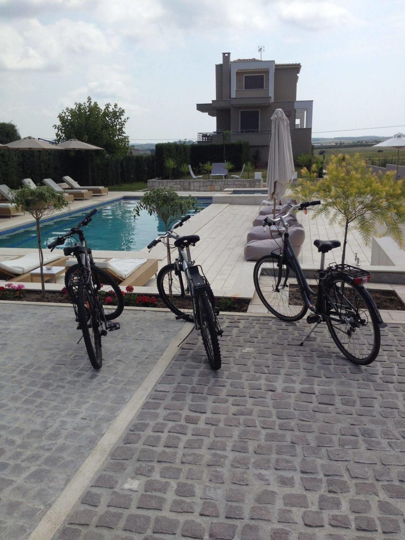 Niovi Boutique Apartments Afytos Bagian luar foto