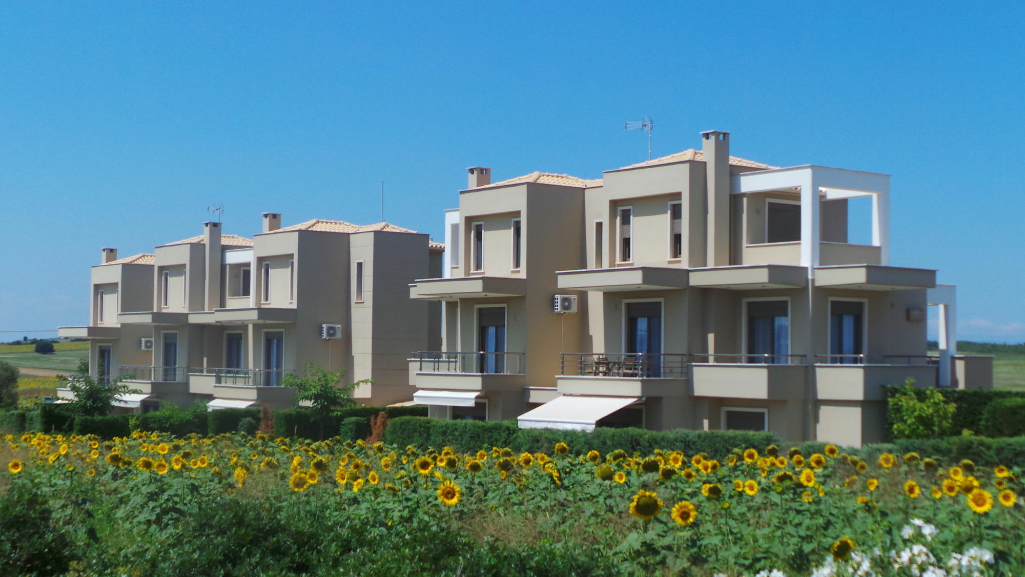 Niovi Boutique Apartments Afytos Bagian luar foto